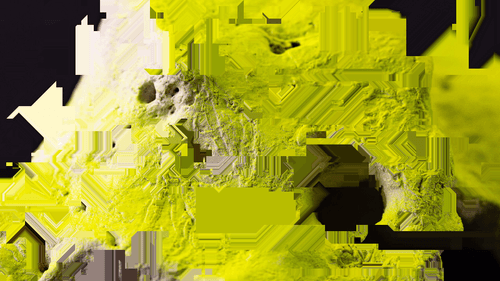 Traces 13