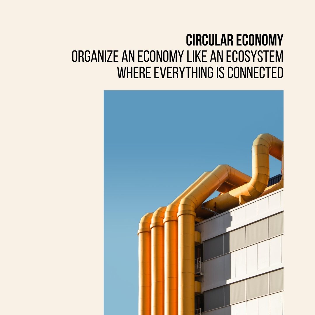 Economy As Ecosystem