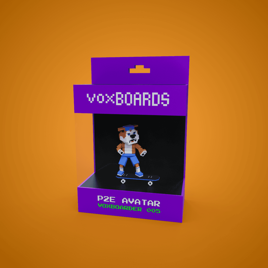 VoxBoarder 005