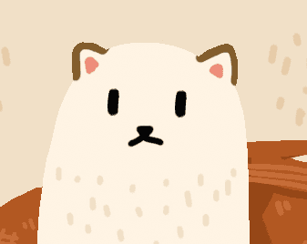 everyday is cat