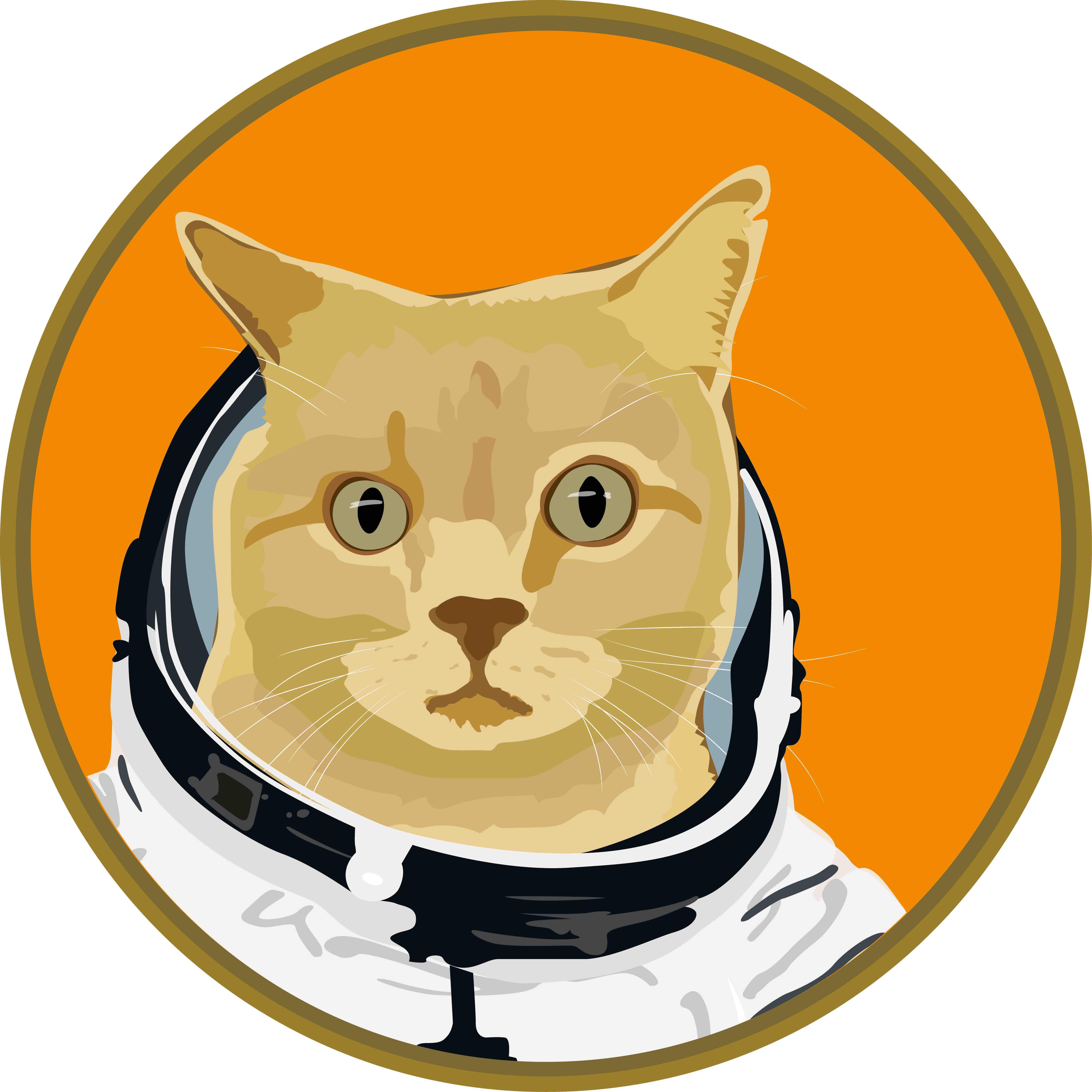 Mustapha_the_cat