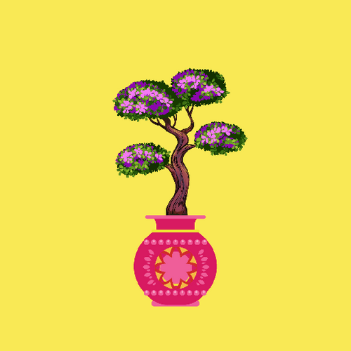 Bonsai #12