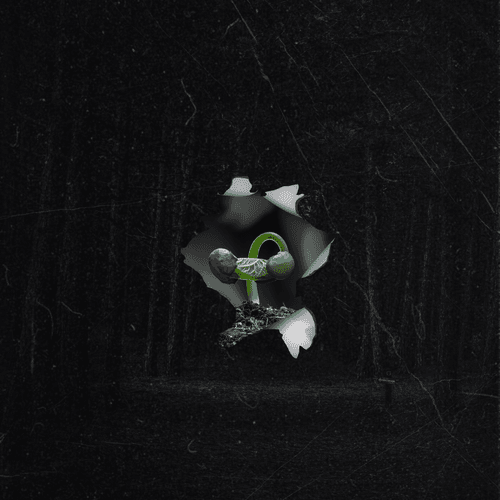 SurrealX