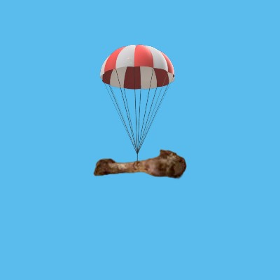 ChickenBonesDrops