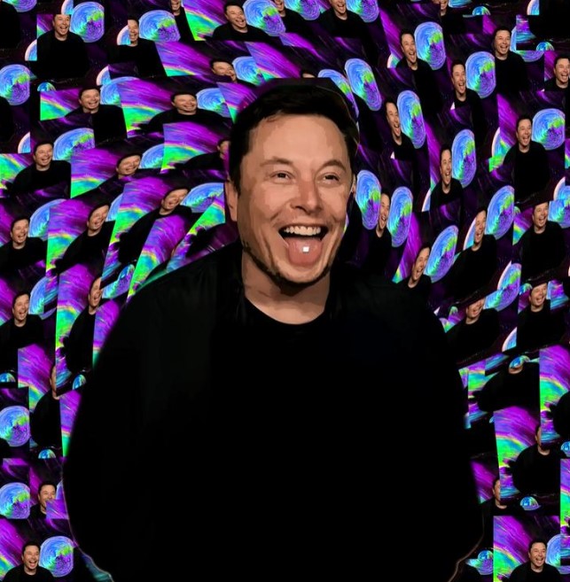 Elon musk put it on my tab collection opensea