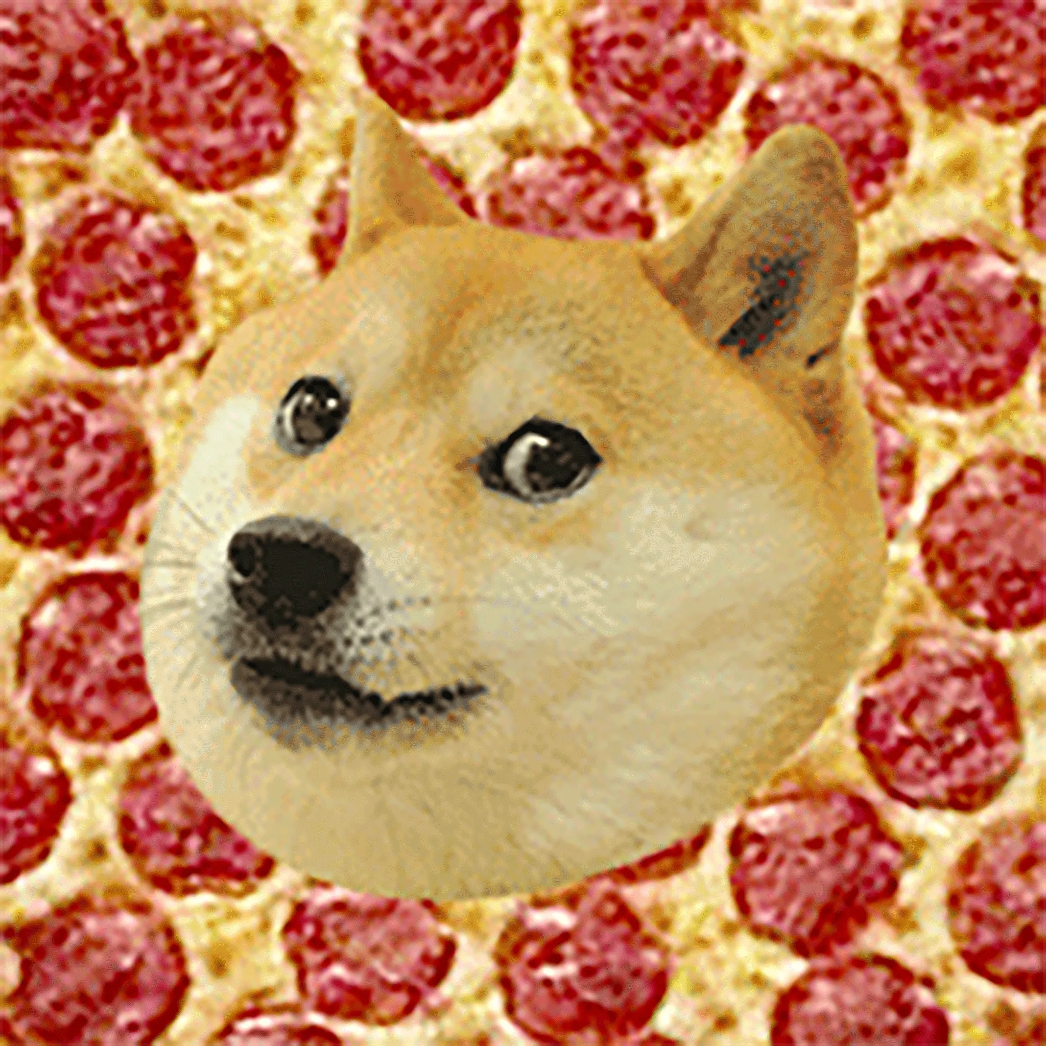Doge2048 - Pizza - 16 Points Tile