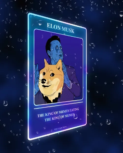 [ZMB-02] Is Doge or Elon the King of memes ?
