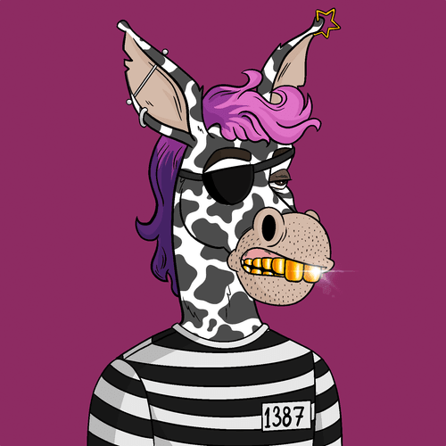 Criminal Donkey 4858