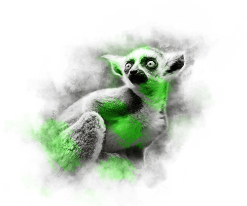 LIME SERIES - LEMUR