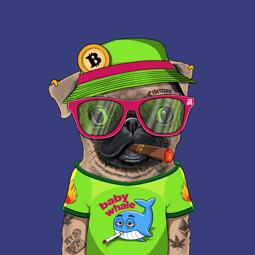 Pug #0075