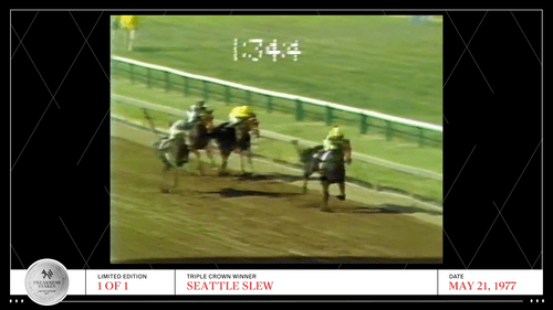 The Preakness - Seattle Slew Triple Crown 1977 (1-of-1)