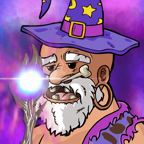 The Crypto Wizard