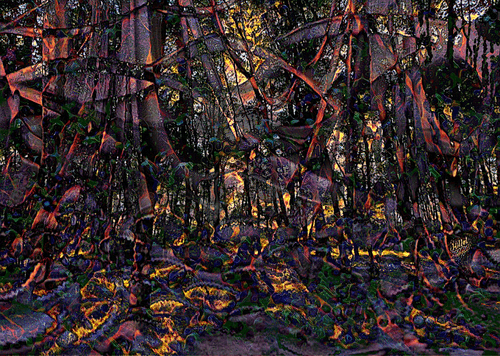 8: Layered filters of vision