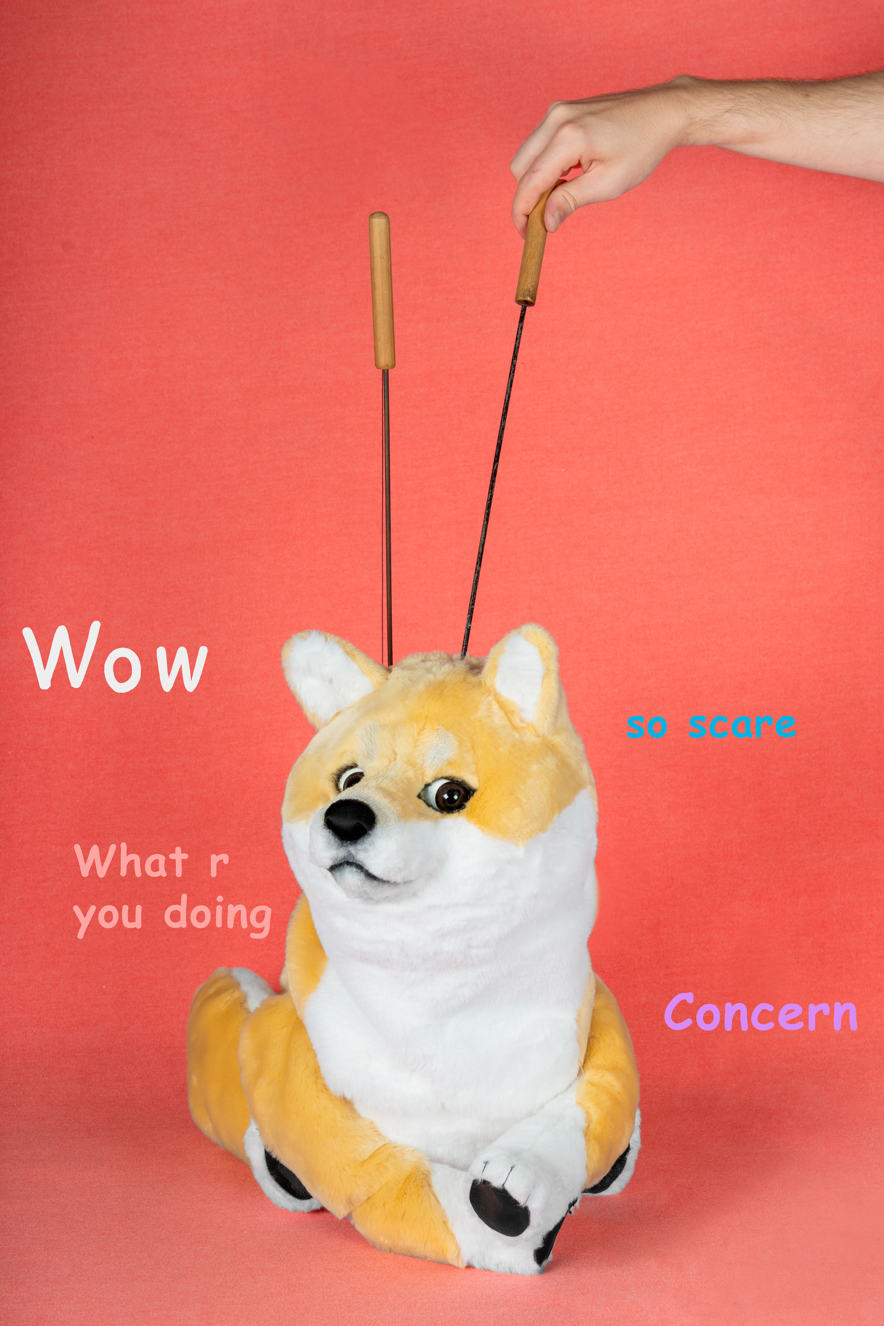 Doge (with text)