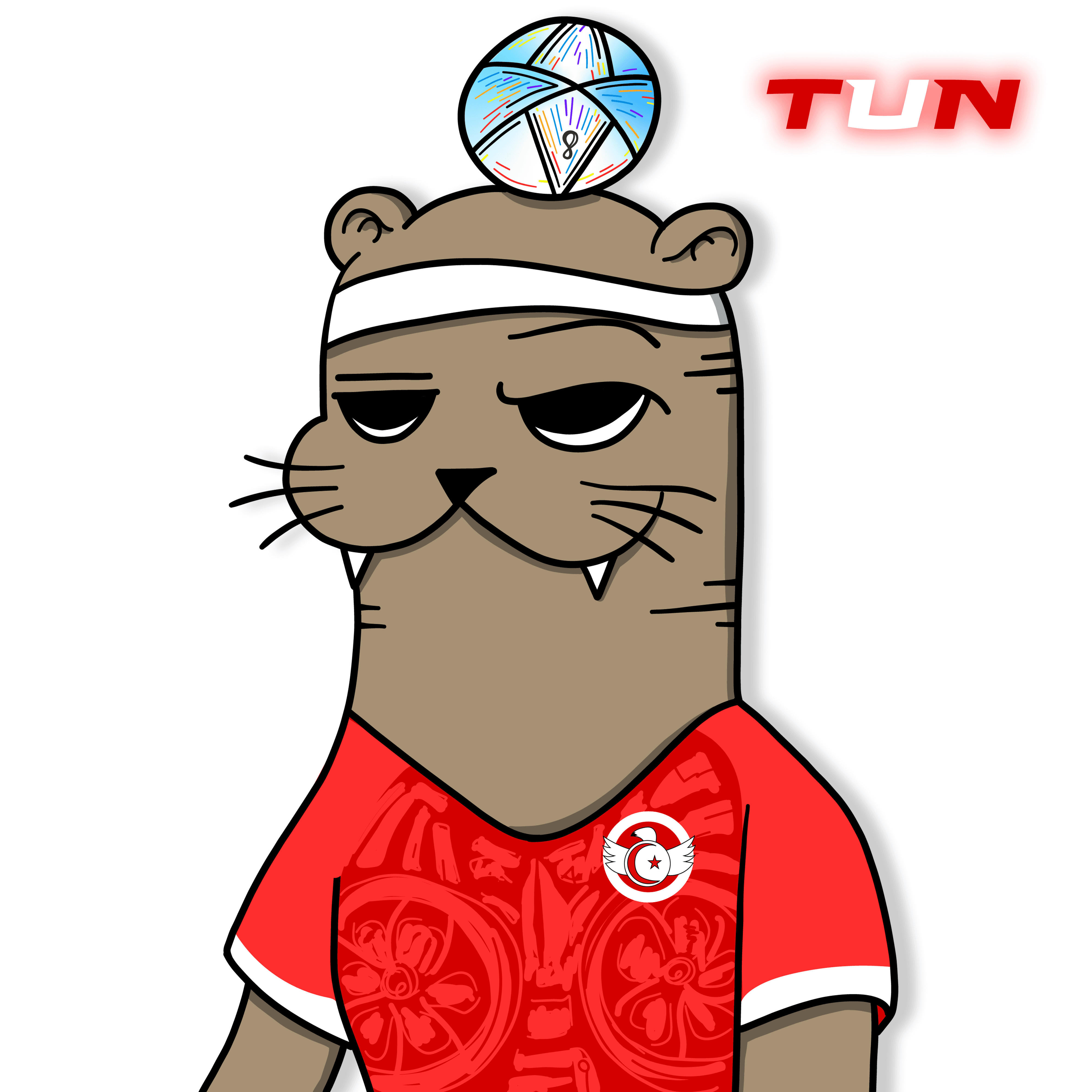 Team Tunisia Otter