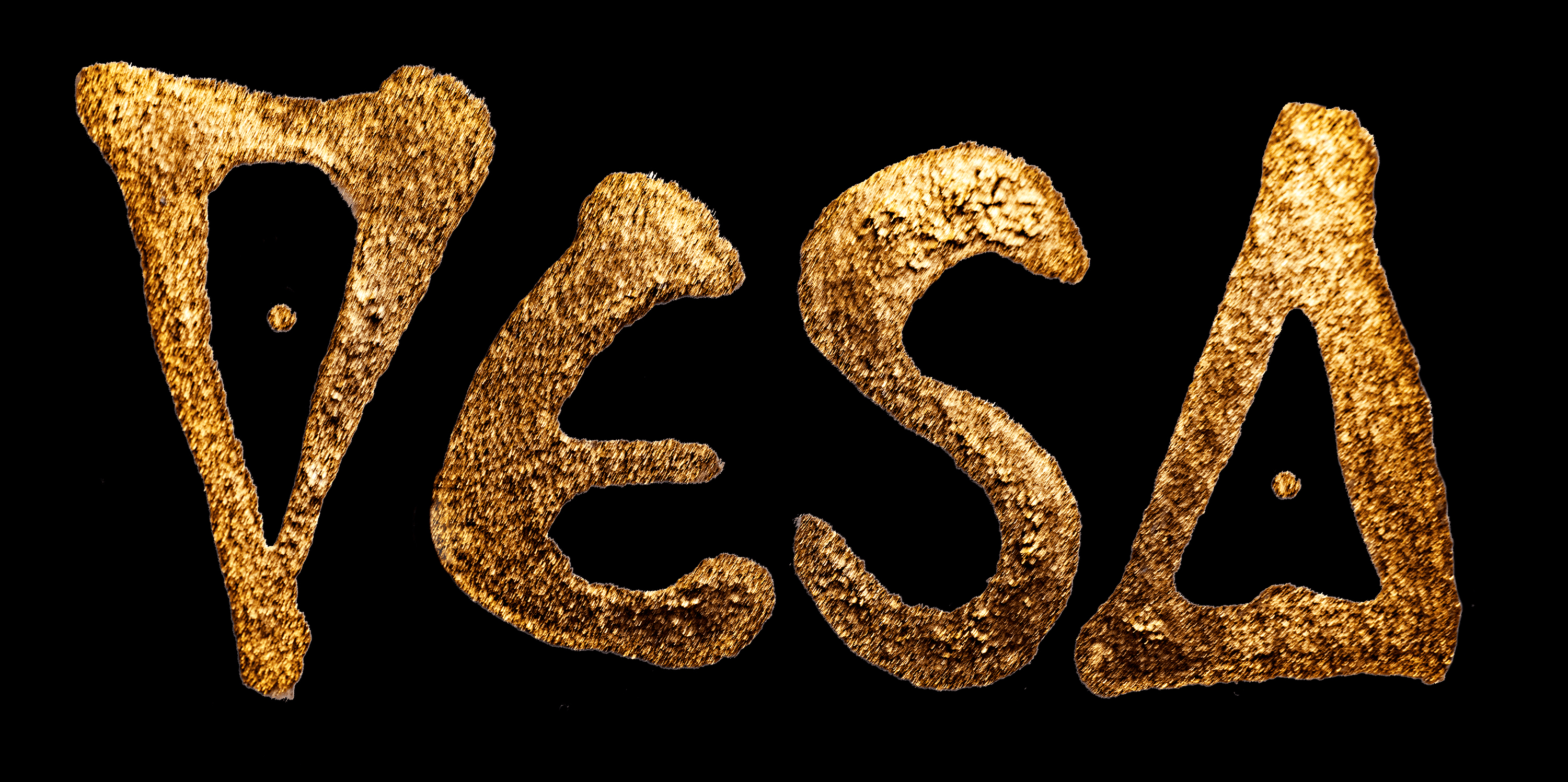 VESA banner