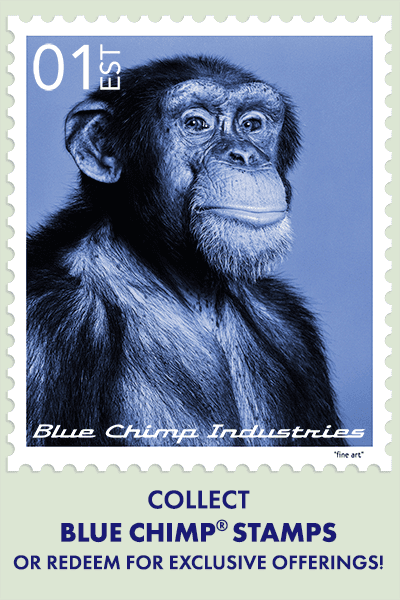 Blue Chimp Collection