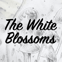 The White Blossoms collection image