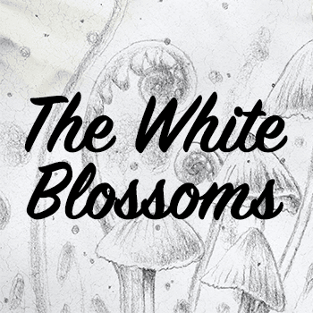 The White Blossoms