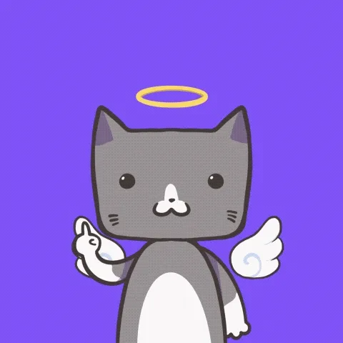 Cat pon