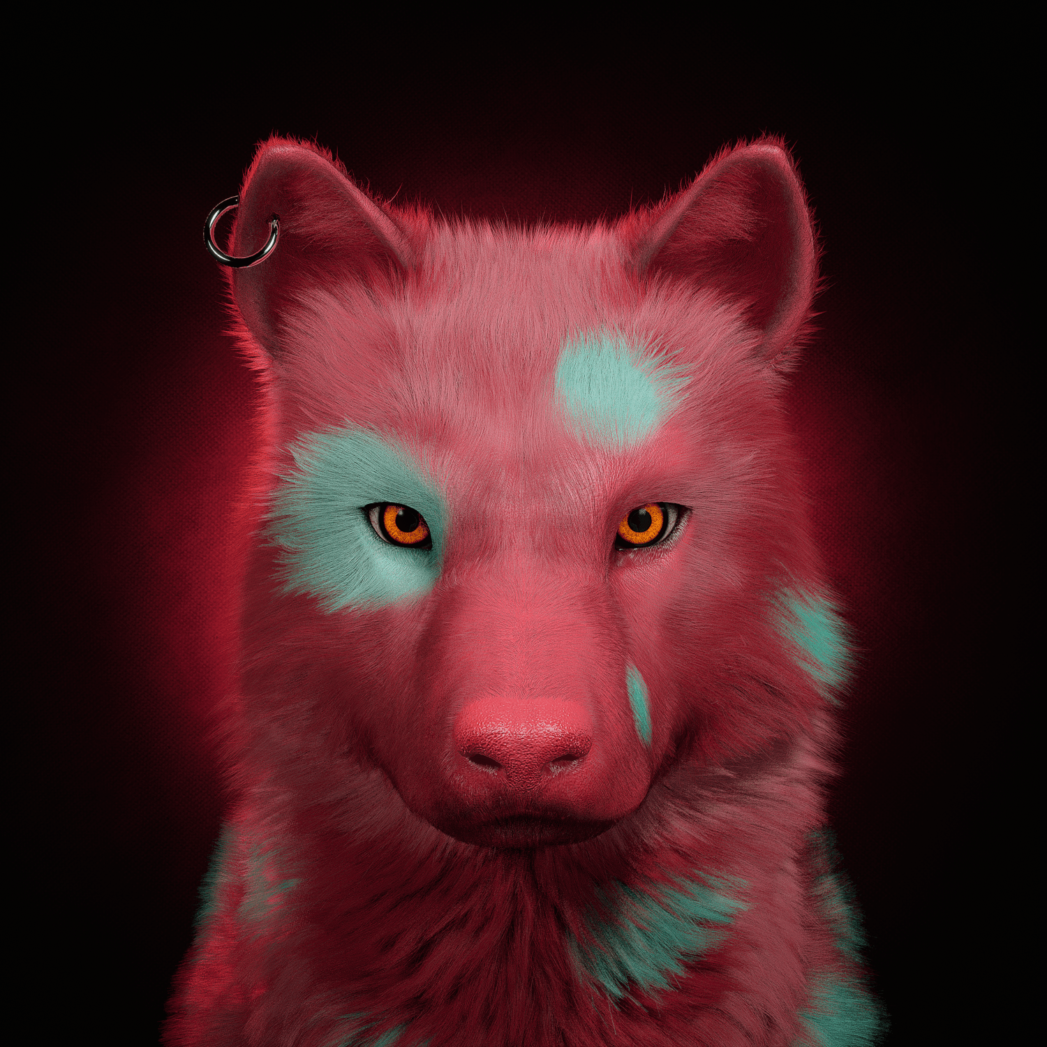 Wolf #963
