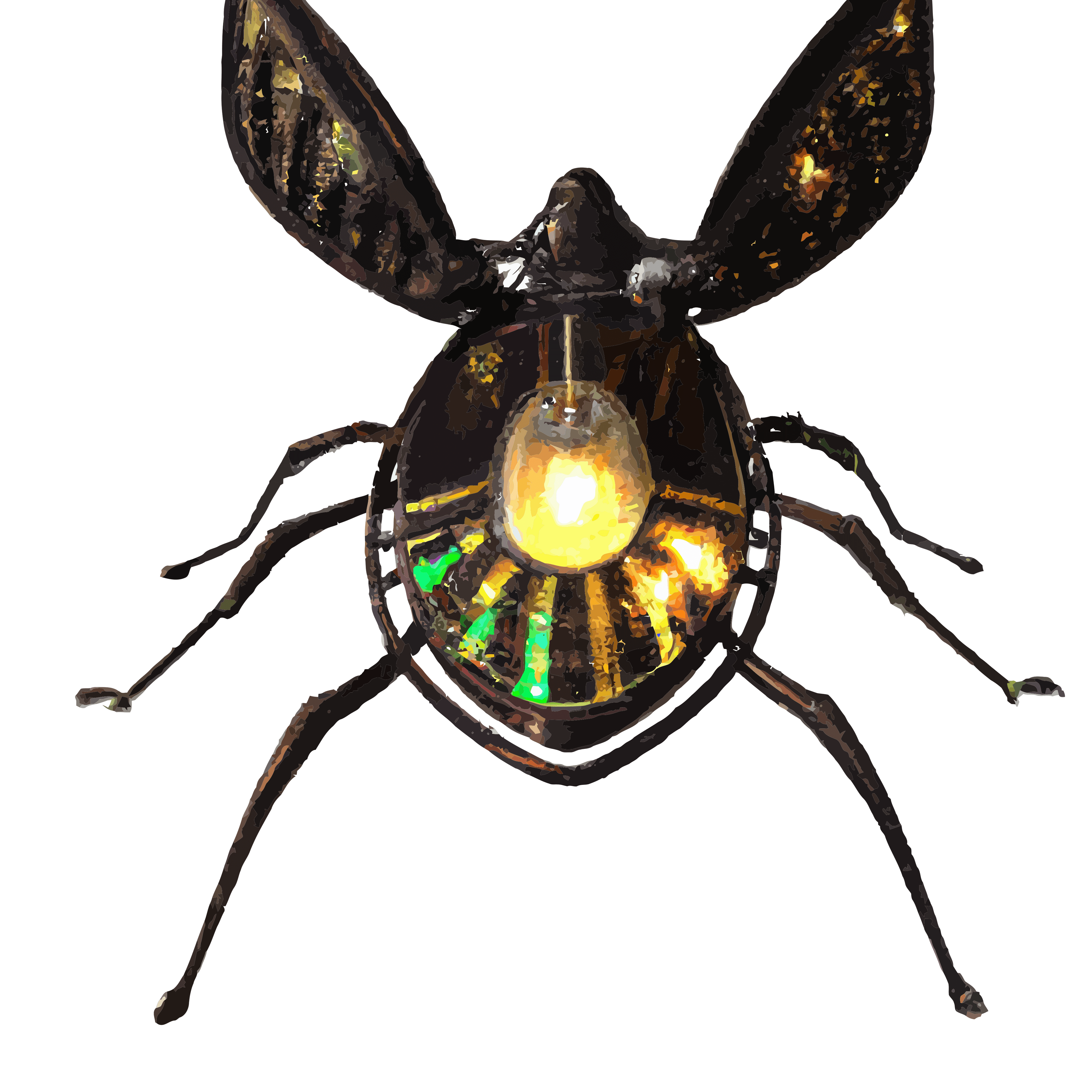 Firefly Lantern 11