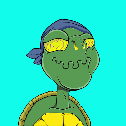 Tortugas TS #20