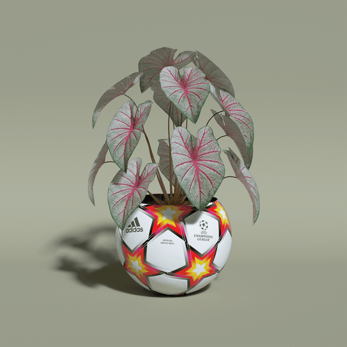 Tropical Readymade Ball Planters