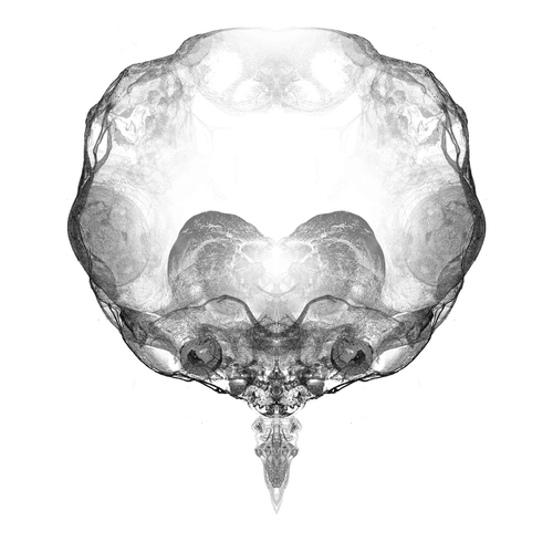 Alien Embryo - 133 of 2000