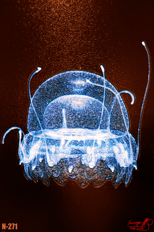 N-271 Nanorniacara
