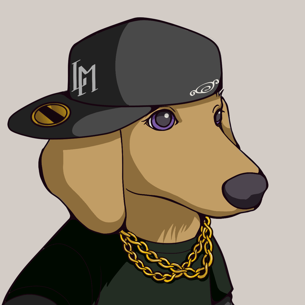 HIP-HOP Doxie