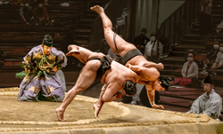 Sumo Champions collection image