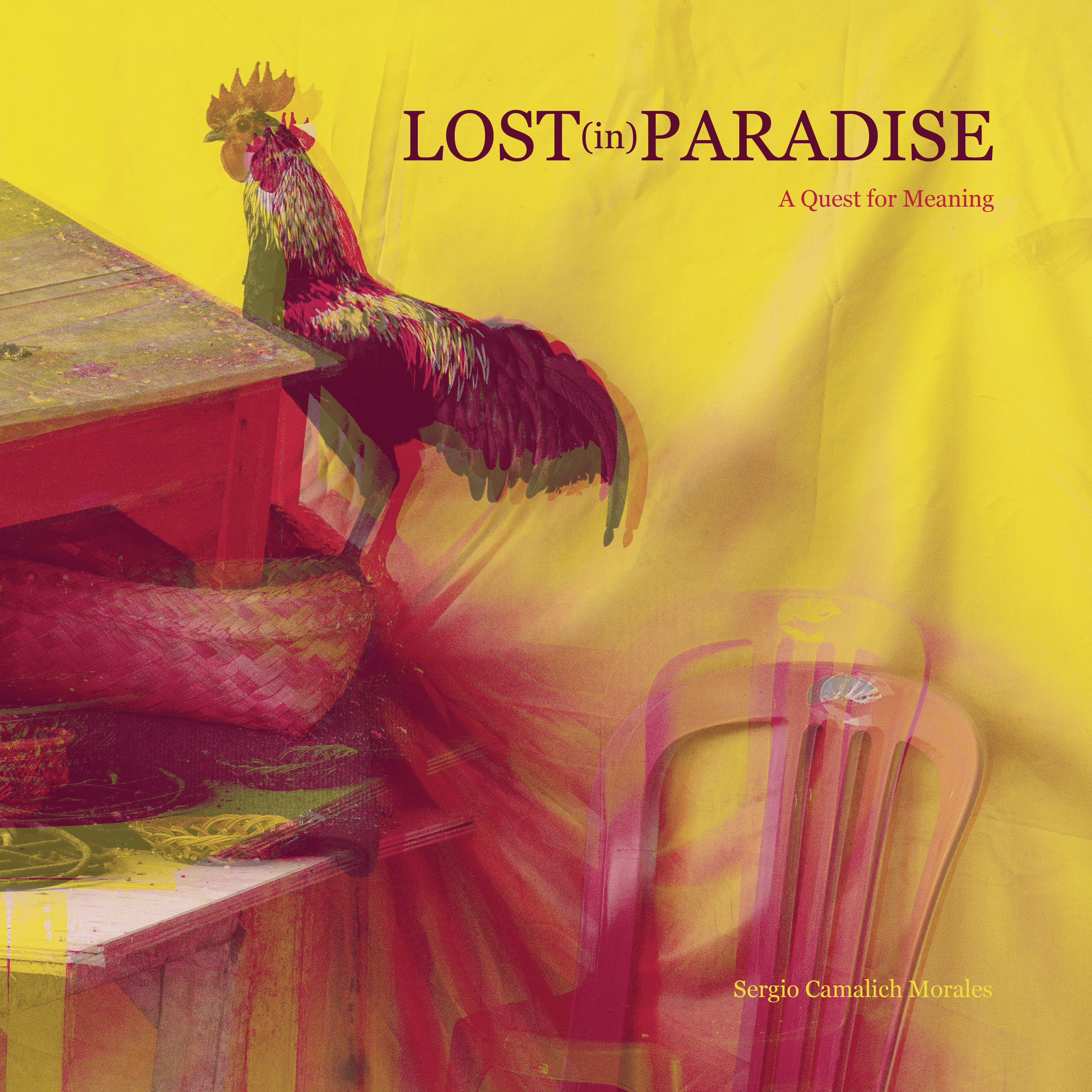 Lost (in) Paradise  |  A Quest for Meaning