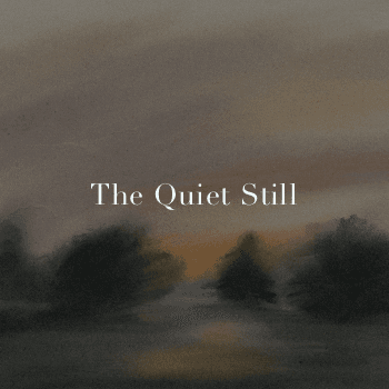 The Quiet Still