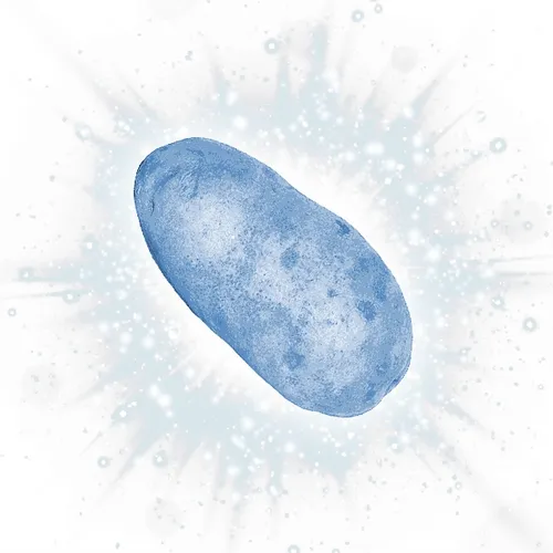 The Diamond Spud