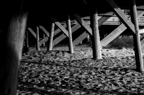 the shelter #12