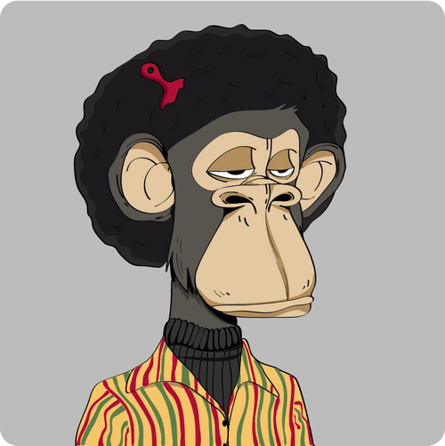 Bored Apes Extended #afro
