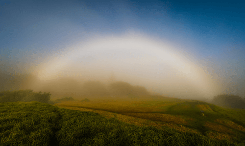 Fog Bow