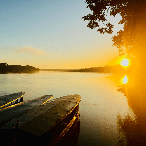 Amazonian Dusk