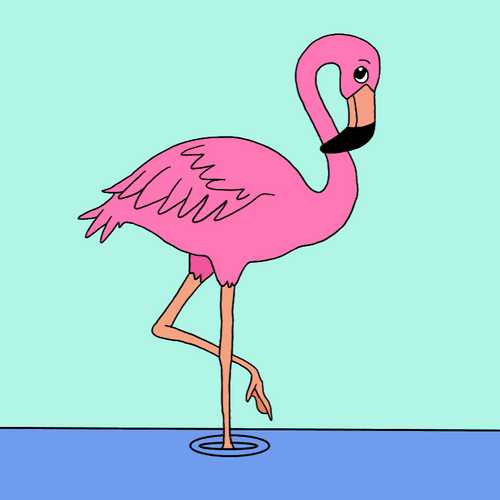 Flamingo