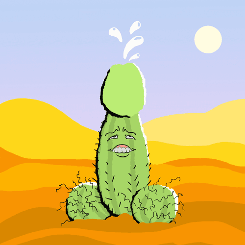 Cocktus