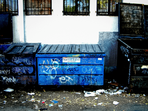 Dumpster Statements #21