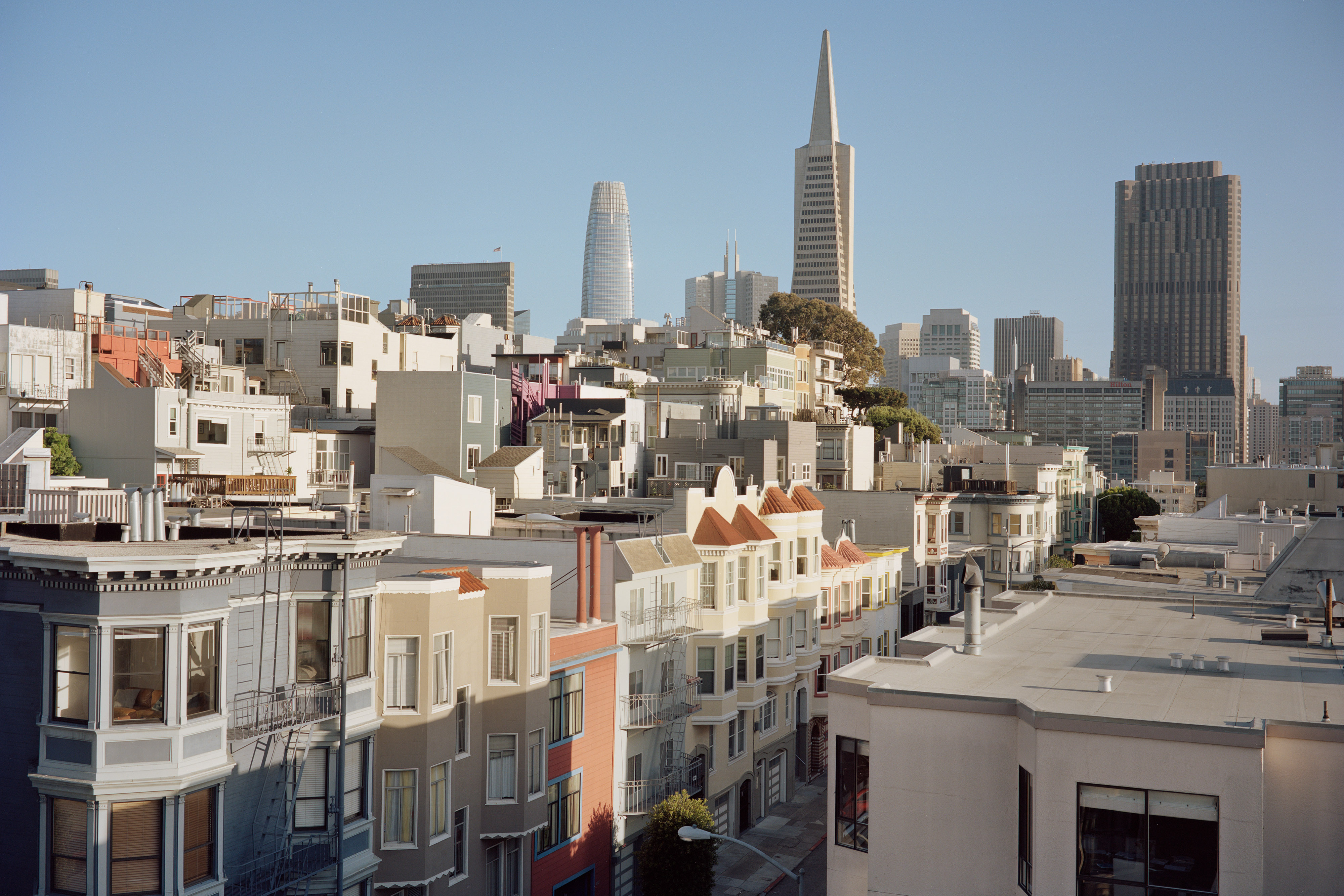View of Financial District from Telegraph Hill, San Francisco, California