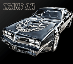 American Muscle 60s 70s collection image