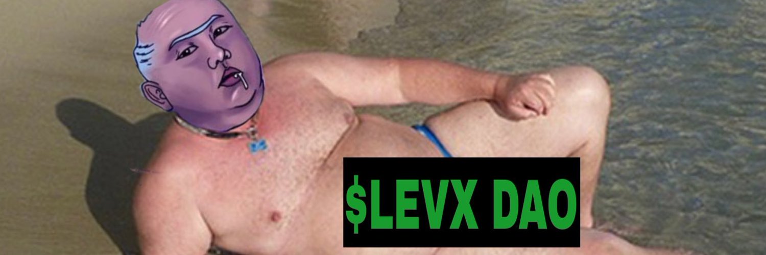 LevX banner