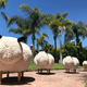 Whimsical Sheep Collection