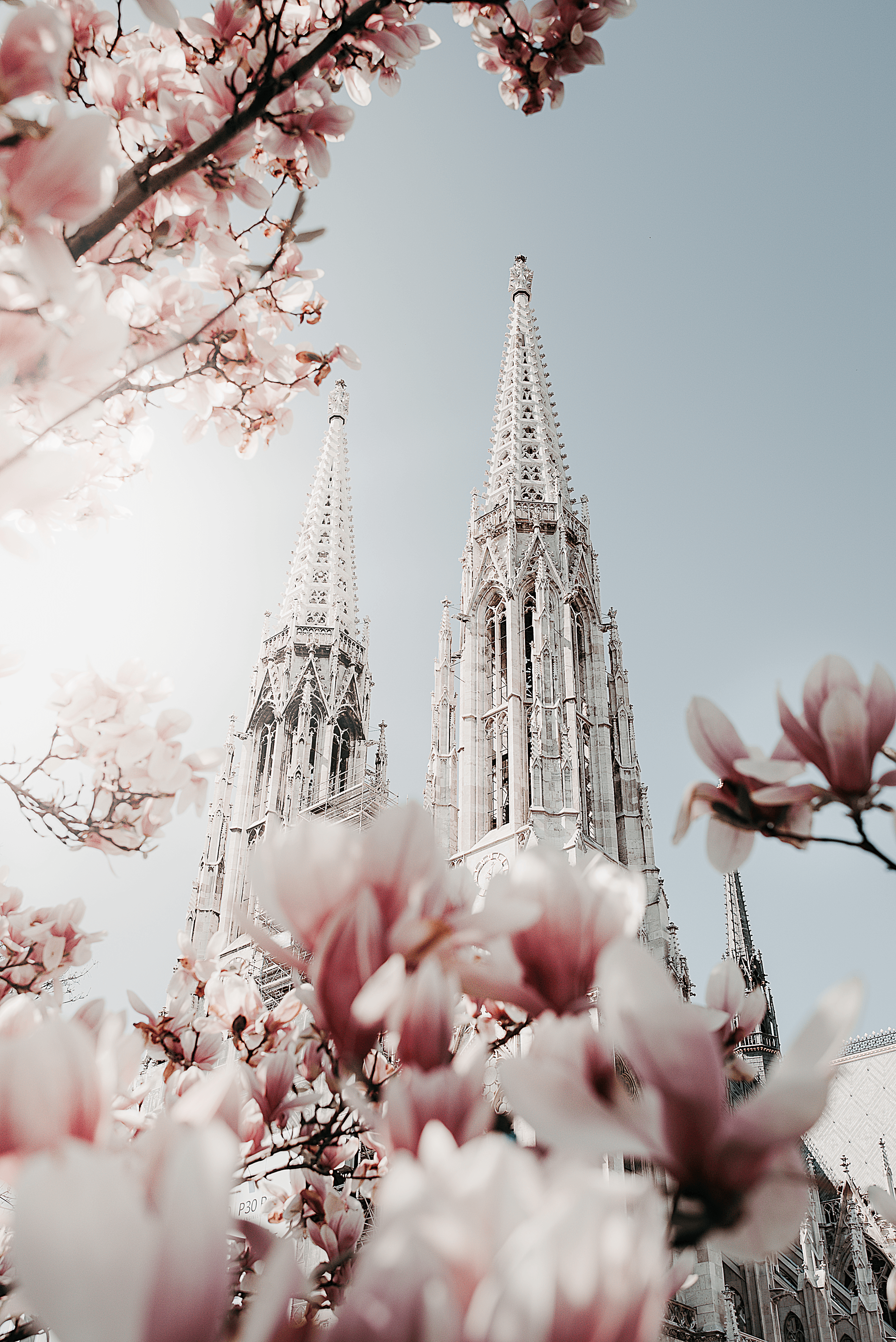 Spring in Vienna