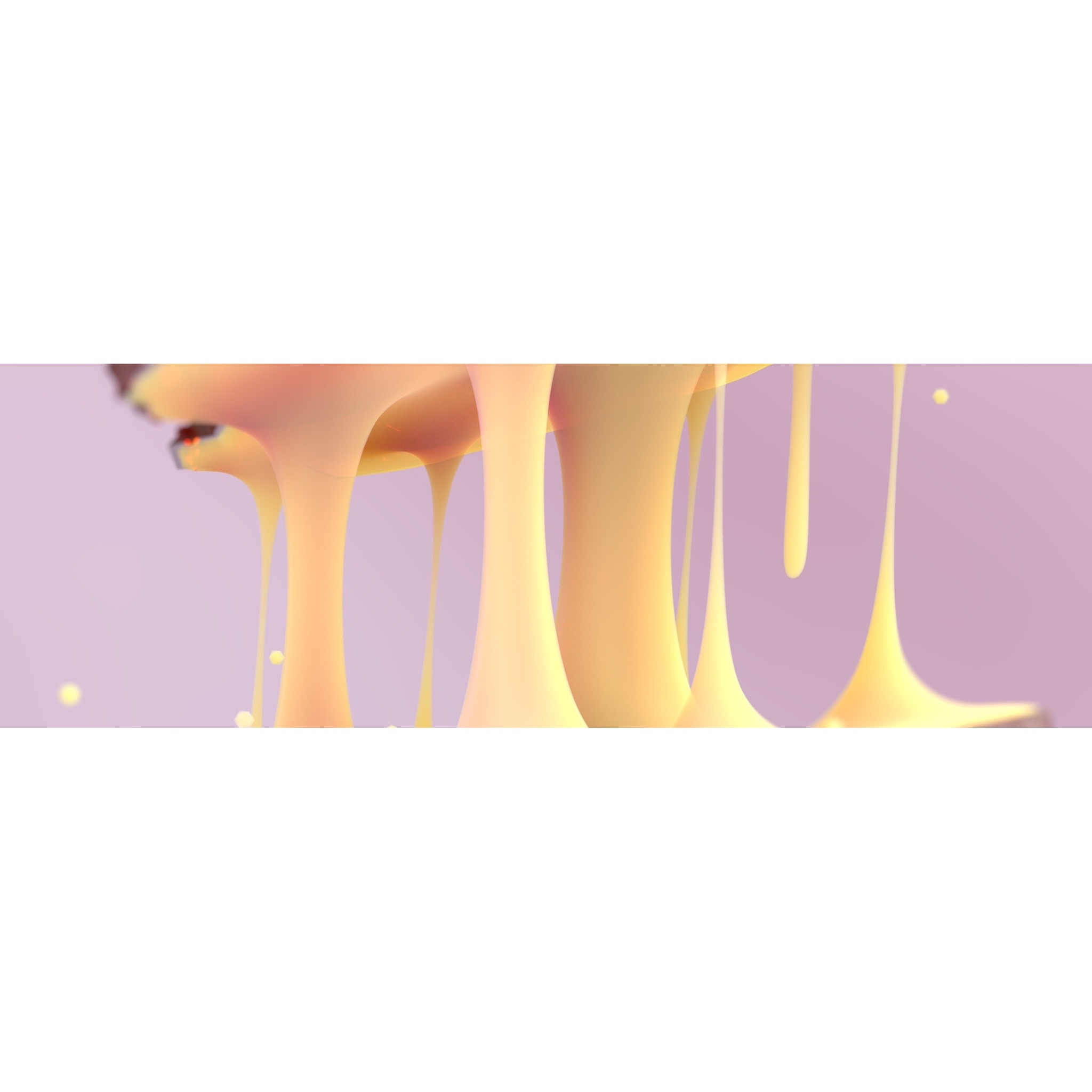 norm banner