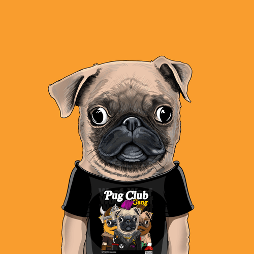 Pug #0210