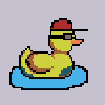 Duck #476